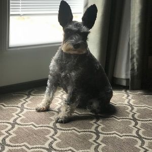 Meet your Posher, Teresa